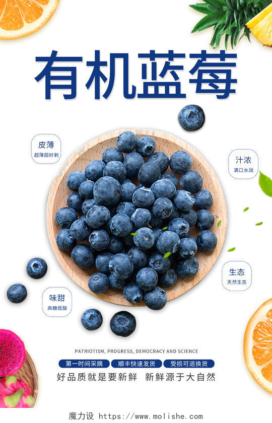 简约清新有机蓝莓海报